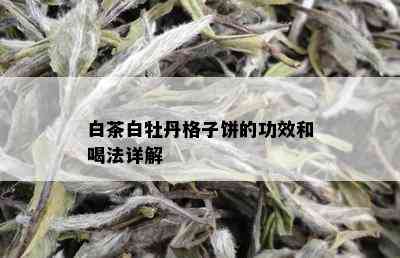 白茶白牡丹格子饼的功效和喝法详解