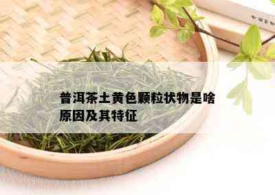 普洱茶土黄色颗粒状物是啥原因及其特征