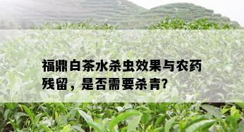 福鼎白茶水杀虫效果与农残留，是否需要杀青？