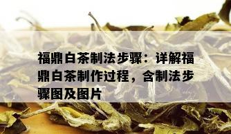 福鼎白茶制法步骤：详解福鼎白茶制作过程，含制法步骤图及图片