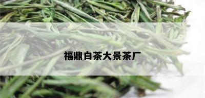 福鼎白茶大景茶厂