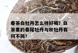 春茶白牡丹怎么样好喝？白茶里的春尾牡丹与秋牡丹有何不同？