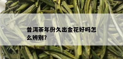 普洱茶年份久出金花好吗怎么辨别？