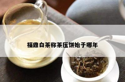 福鼎白茶称茶压饼始于哪年