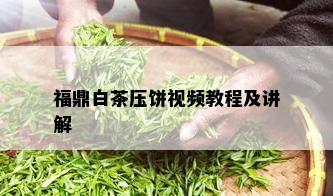 福鼎白茶压饼视频教程及讲解