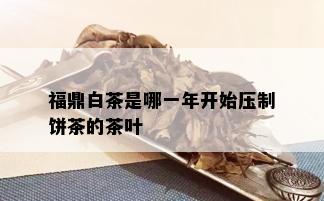 福鼎白茶是哪一年开始压制饼茶的茶叶