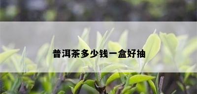 普洱茶多少钱一盒好抽