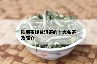 陆羽茶经普洱茶的十大名茶及简介