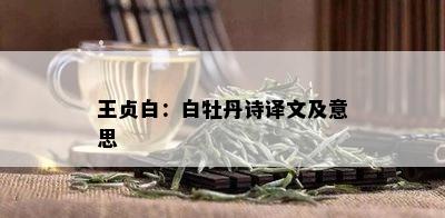 王贞白：白牡丹诗译文及意思