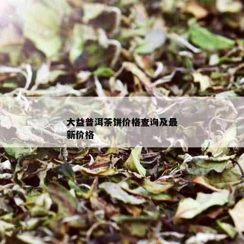 大益普洱茶饼价格查询及最新价格