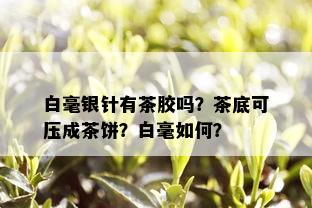 白毫银针有茶胶吗？茶底可压成茶饼？白毫如何？