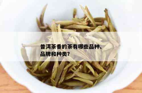 普洱茶香的茶有哪些品种、品牌和种类？