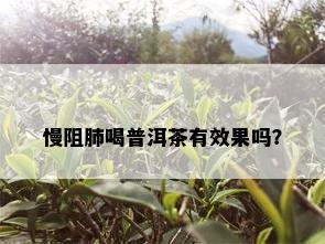 慢阻肺喝普洱茶有效果吗？