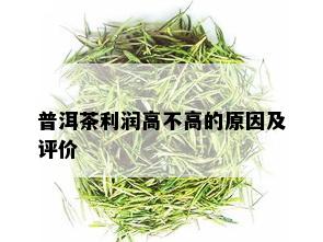 普洱茶利润高不高的原因及评价