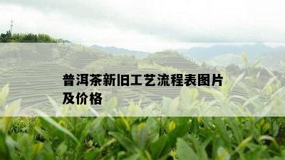 普洱茶新旧工艺流程表图片及价格