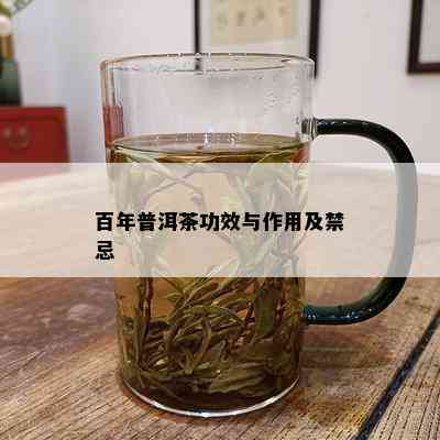 百年普洱茶功效与作用及禁忌