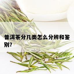 普洱茶分几类怎么分辨和鉴别？