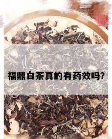 福鼎白茶真的有效吗？