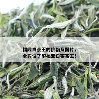 福鼎白茶王的价格及图片，全方位了解福鼎白茶茶王！