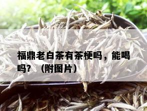 福鼎老白茶有茶梗吗，能喝吗？（附图片）