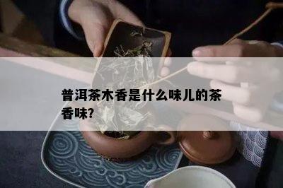 普洱茶木香是什么味儿的茶香味？