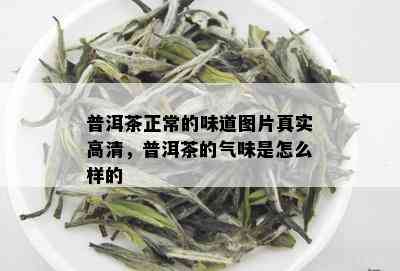 普洱茶正常的味道图片真实高清，普洱茶的气味是怎么样的