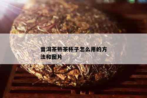 普洱茶熟茶杯子怎么用的方法和图片