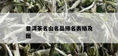 普洱茶名山名品排名表格及图