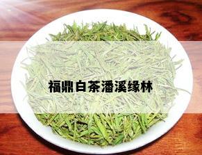 福鼎白茶潘溪缘林