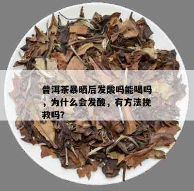 普洱茶暴晒后发酸吗能喝吗，为什么会发酸，有方法挽救吗？