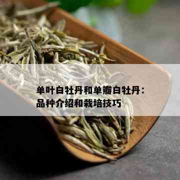 单叶白牡丹和单瓣白牡丹：品种介绍和栽培技巧