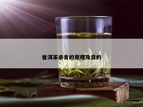 普洱茶杀青的原理及目的