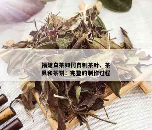 福建白茶如何自制茶叶、茶具和茶饼：完整的制作过程