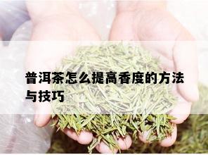 普洱茶怎么提高香度的方法与技巧