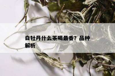 白牡丹什么茶喝最香？品种解析