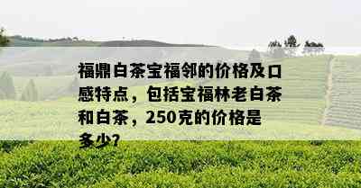 福鼎白茶宝福邻的价格及口感特点，包括宝福林老白茶和白茶，250克的价格是多少？