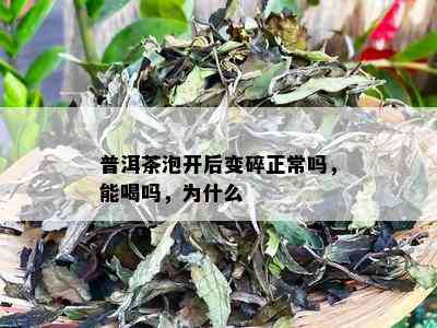 普洱茶泡开后变碎正常吗，能喝吗，为什么