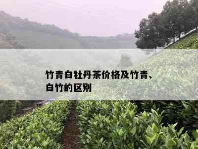 竹青白牡丹茶价格及竹青、白竹的区别