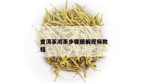 普洱茶沏茶步骤图解视频教程