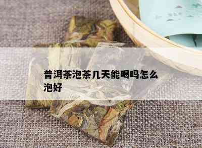 普洱茶泡茶几天能喝吗怎么泡好