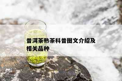 普洱茶熟茶科普图文介绍及相关品种