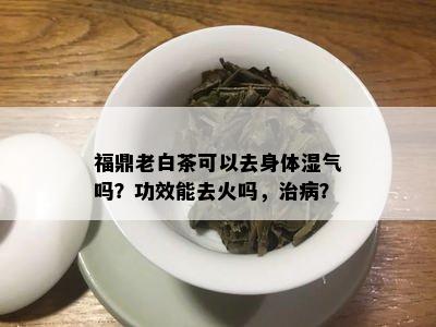 福鼎老白茶可以去身体湿气吗？功效能去火吗，治病？