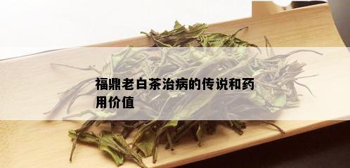 福鼎老白茶治病的传说和用价值