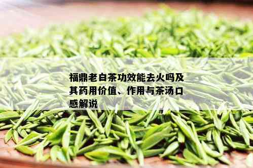 福鼎老白茶功效能去火吗及其用价值、作用与茶汤口感解说