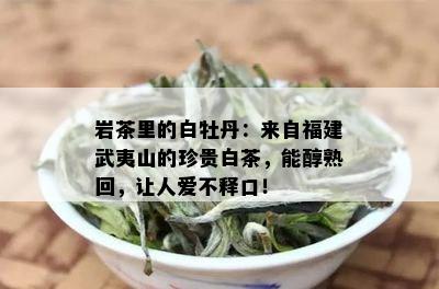 岩茶里的白牡丹：来自福建武夷山的珍贵白茶，能醇熟回，让人爱不释口！