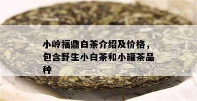 小岭福鼎白茶介绍及价格，包含野生小白茶和小罐茶品种