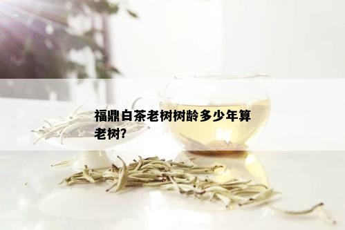 福鼎白茶老树树龄多少年算老树？