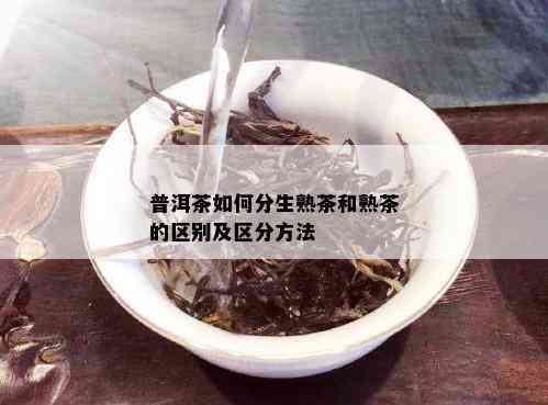 普洱茶如何分生熟茶和熟茶的区别及区分方法