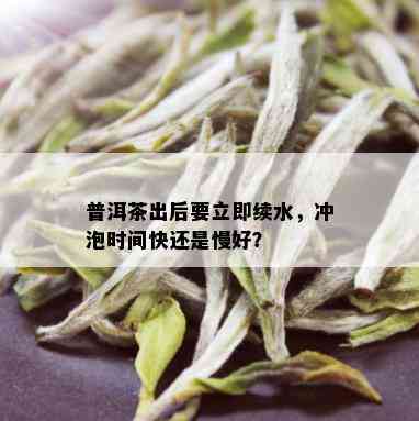 普洱茶出后要立即续水，冲泡时间快还是慢好？