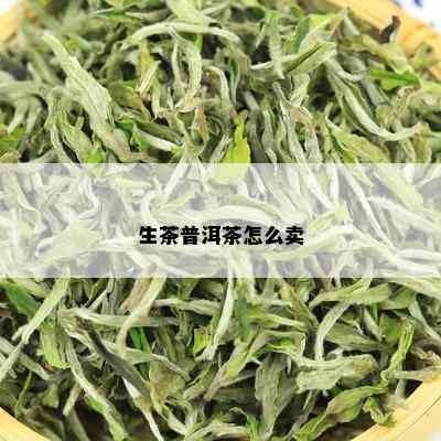 生茶普洱茶怎么卖